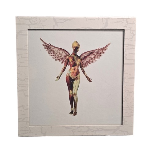 Nirvana utero 5 - utero, box